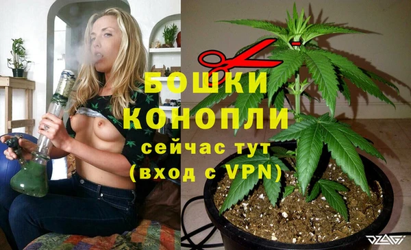 соль ск Краснослободск