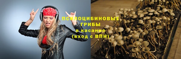 хмурый Краснотурьинск