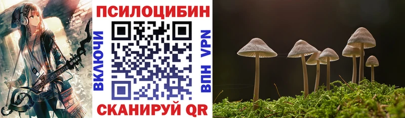Купить закладки  Болохово  Псилоцибиновые грибы GOLDEN TEACHER 