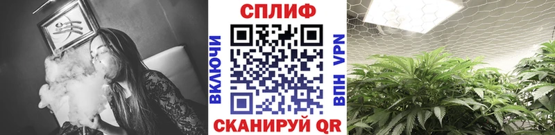 Шишки марихуана AK-47  Купить закладки  Болохово 